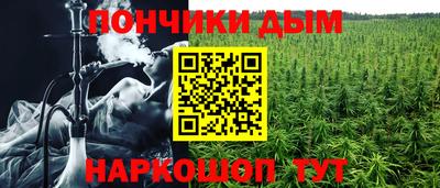 шишки Коммунар