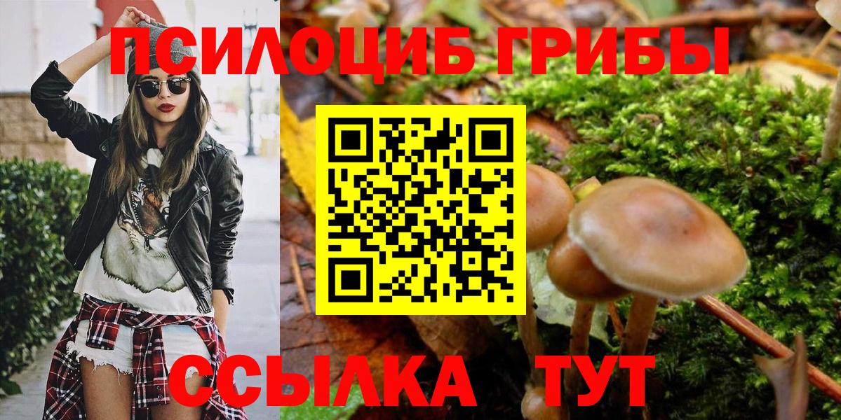Псилоцибиновые грибы Psilocybine cubensis Ухта