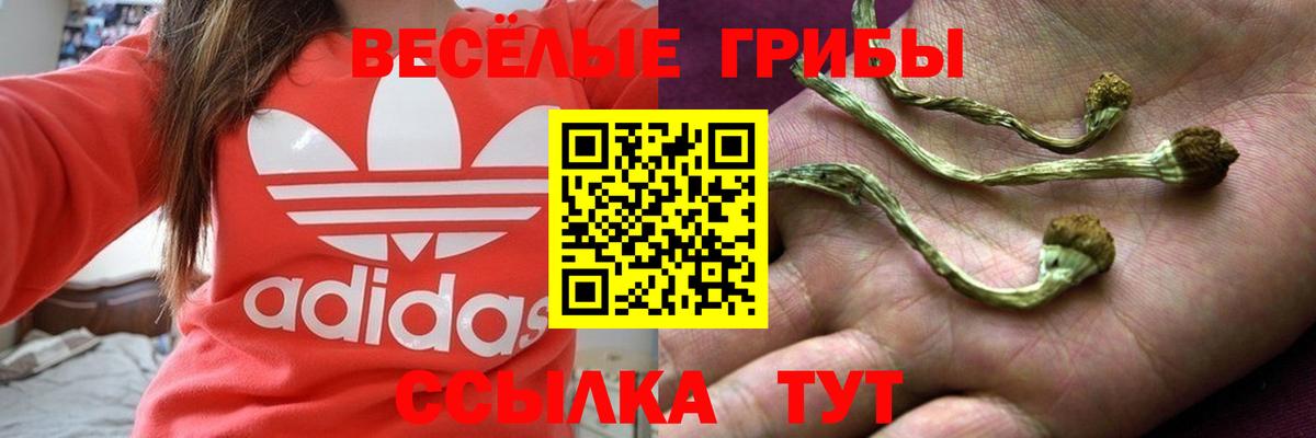Галлюциногенные грибы ЛСД  Вход с VPN  Ухта 